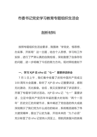党史专题组织生活会个人剖析材料（市2600字）