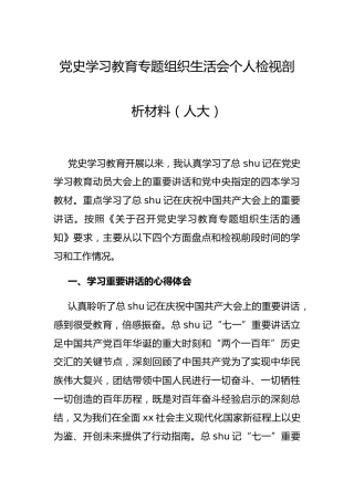 党史专题组织生活会个人剖析材料（审计4400字）