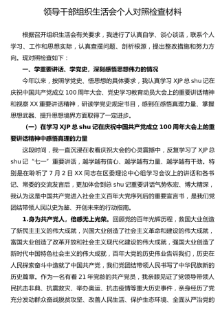 党史专题组织生活会个人剖析6900字