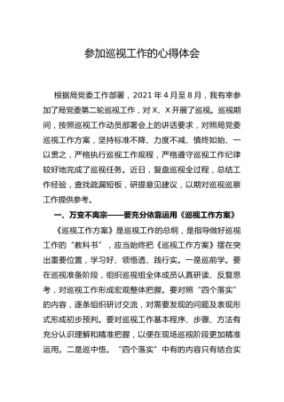 参加巡察巡视工作的经验总结（心得体会）
