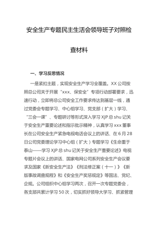 安全生产专题民主生活会领导班子对照检查材料（公司）
