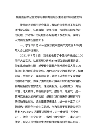 党史专题组织生活会个人剖析2篇（乡镇）