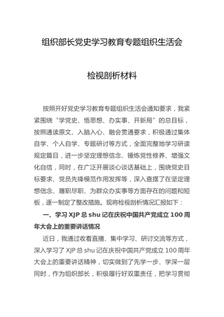 党史专题组织生活会个人剖析（组织部长3700字）