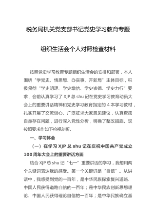 党史专题组织生活会个人剖析（税务3300字）