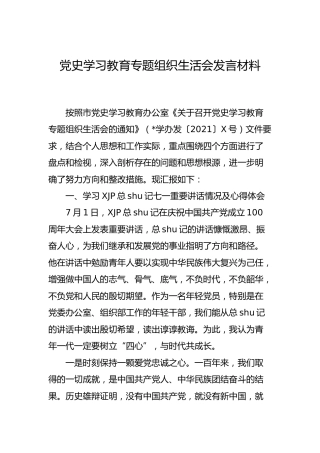 党史专题组织生活会个人剖析（青年党员）