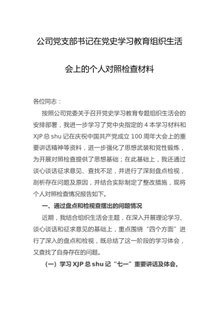 党史专题组织生活会个人剖析（公司4300字）
