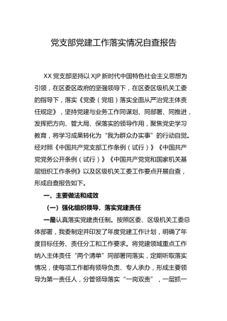 党支部党建工作落实情况自查总结报告3200字