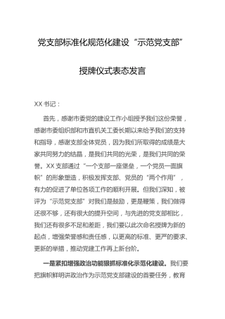 党支部标准化规范化建设授牌仪式表态发言