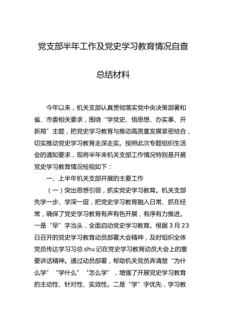党支部半年工作及党史学习教育情况自查总结3500字