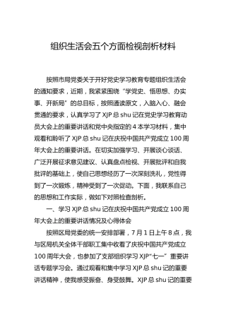 党史专题组织生活会个人检视剖析材料（税务）