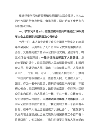 党史专题组织生活会个人检视剖析（政协）