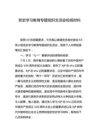 党史专题组织生活会个人检视材料3200字