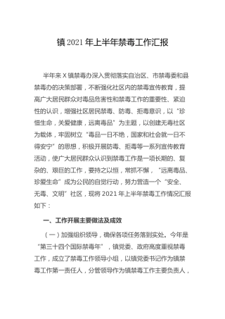 乡镇2021年上半年禁毒工作总结