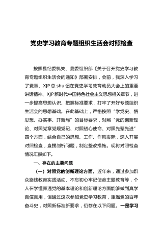 党史专题组织生活会个人对照检查4篇