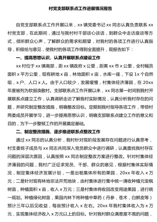 村党支部联系点工作进展情况总结报告