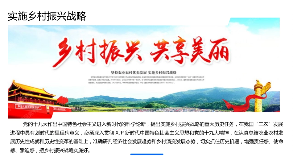 乡村振兴产业融合工作ppt_第3页