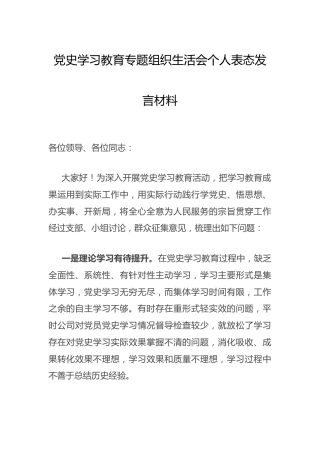 党史专题组织生活会个人表态发言1500字