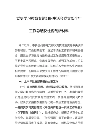 党史专题组织生活会党支部半年工作总结及班子剖析材料3800字（统战）