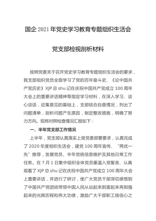 党史专题组织生活会班子剖析（公司2800字）