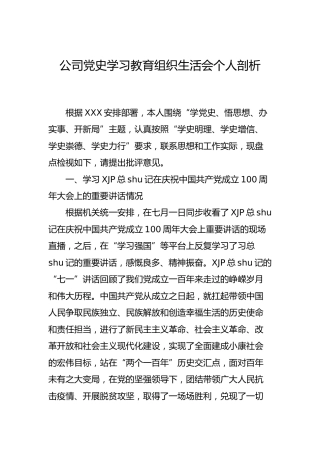 党史学习教育组织生活会个人剖析（公司）