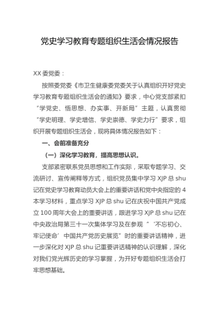 党史学习教育专题组织生活会情况报告2篇