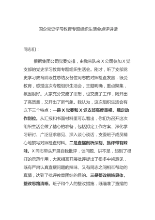 党史学习教育专题组织生活会点评讲话2篇（国企公司）