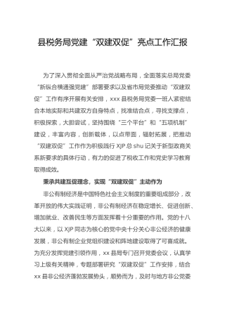 党建“双建双促”亮点工作汇报（税务党建经验）