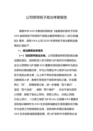 公司领导班子政治考察报告4100字