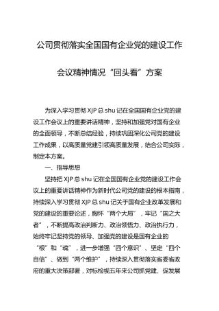 公司贯彻落实国企党的建设会议精神“回头看”工作方案
