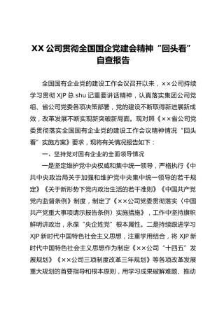 公司贯彻国企党的建设会议精神“回头看”自查总结报告4100字