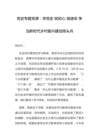 党史结合乡村振兴党课7700字