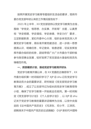 党支部工作情况总结报告（党史生活会上）