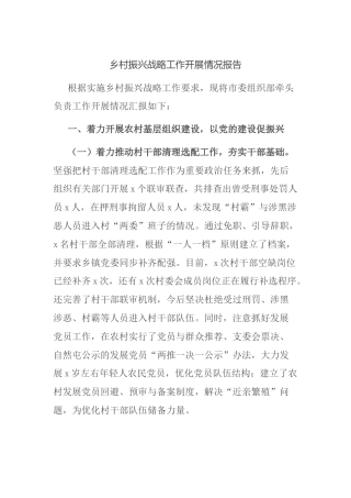 乡村振兴战略工作开展情况总结报告