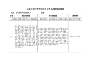 党史专题组织生活会问题整改清单2