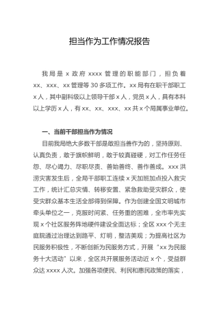 担当作为工作情况总结报告