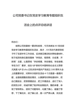 党史专题组织生活会上的点评总结讲话（公司2900字）