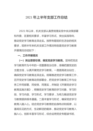2021年上半年支部工作总结（党史生活会）