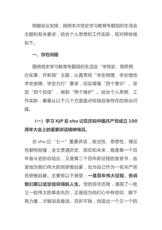党史专题组织生活会个人剖析3000字