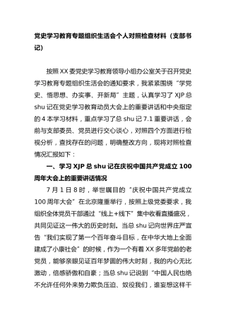 党史专题组织生活会个人剖析（支部书记5000字）