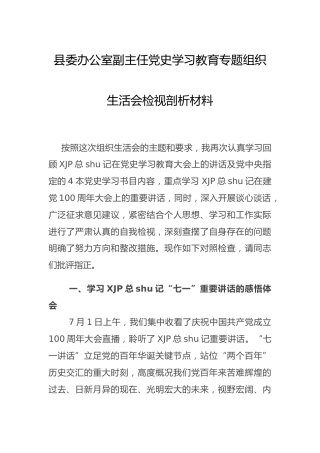 党史专题组织生活会个人剖析（4900字委办）