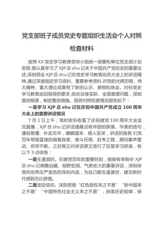 党史专题组织生活会个人对照检查材料3300字