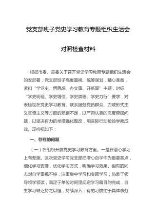 党史专题组织生活会班子对照检查材料3800字