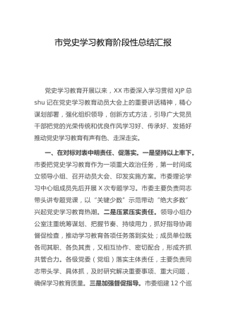 党史学习教育阶段性总结汇报（市）