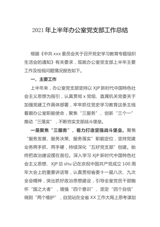 2021年上半年党支部工作总结（党史生活会上）