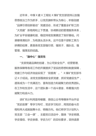 煤矿公司党支部工作经验2400字
