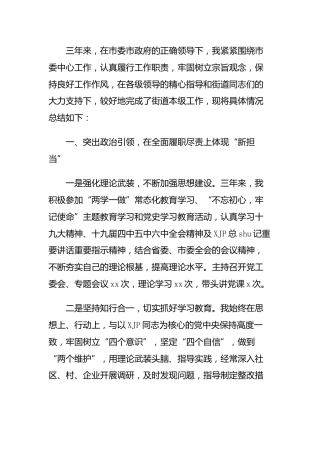 乡镇书记三年工作总结3100字