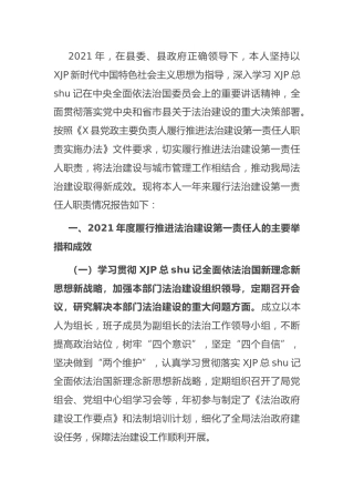 履行推进法治建设第一责任人职责述职报告2300字（城管）