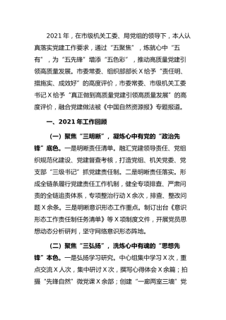 自然资源系统书记2021年述职报告（简练版）