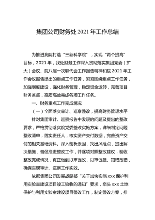 公司财务处2021年工作总结5600字