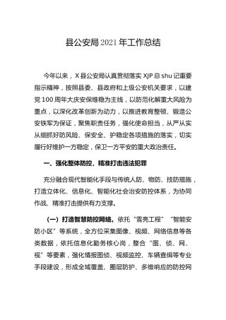 公安系统2021年工作总结2700字